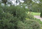 Rosny Parkresidential-landscaping-35.jpg; ?>
