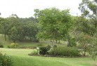Rosny Parkresidential-landscaping-40.jpg; ?>